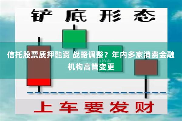 信托股票质押融资 战略调整？年内多家消费金融机构高管变更