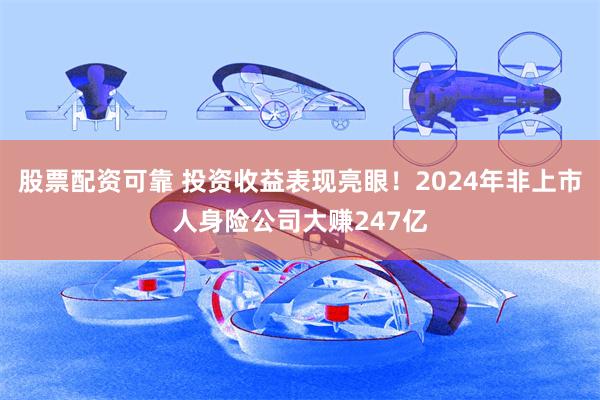 股票配资可靠 投资收益表现亮眼！2024年非上市人身险公司大赚247亿