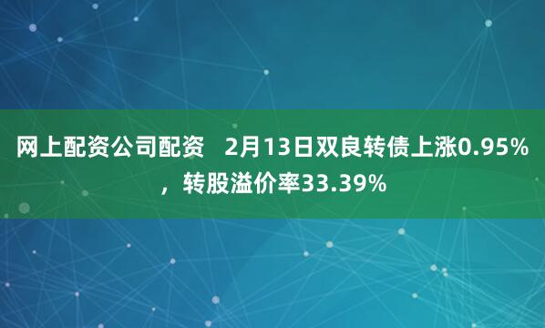 网上配资公司配资   2月13日双良转债上涨0.95%，转股溢价率33.39%