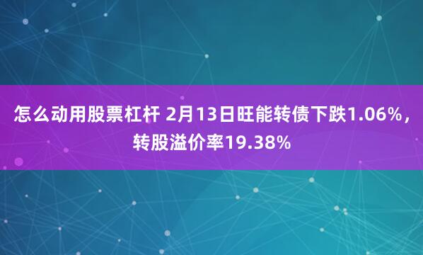 怎么动用股票杠杆 2月13日旺能转债下跌1.06%，转股溢价率19.38%