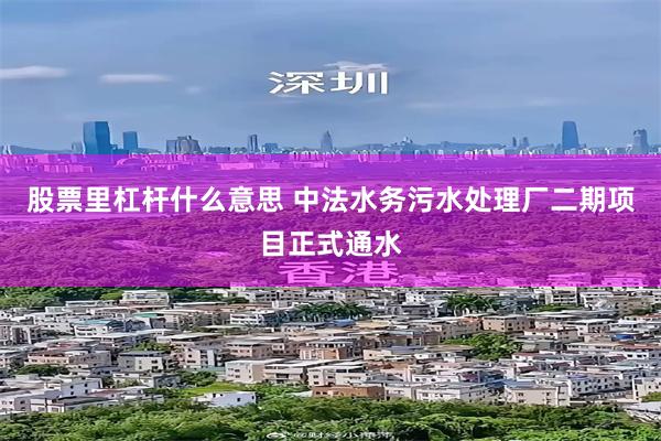 股票里杠杆什么意思 中法水务污水处理厂二期项目正式通水