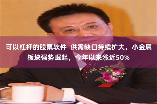 可以杠杆的股票软件  供需缺口持续扩大，小金属板块强势崛起，今年以来涨近50%