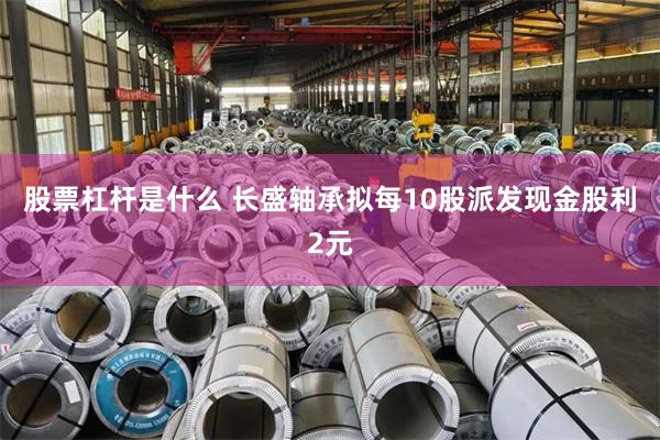 股票杠杆是什么 长盛轴承拟每10股派发现金股利2元