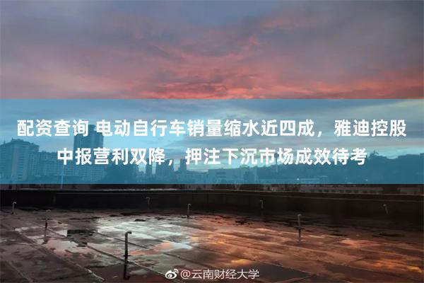 配资查询 电动自行车销量缩水近四成，雅迪控股中报营利双降，押注下沉市场成效待考